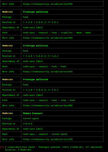 npm-audit